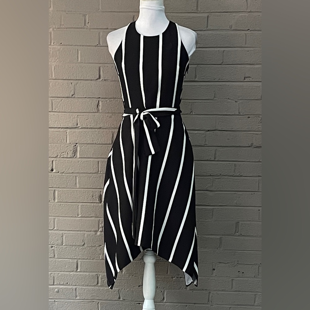 Banana Republic NWT black & white striped dress 2P